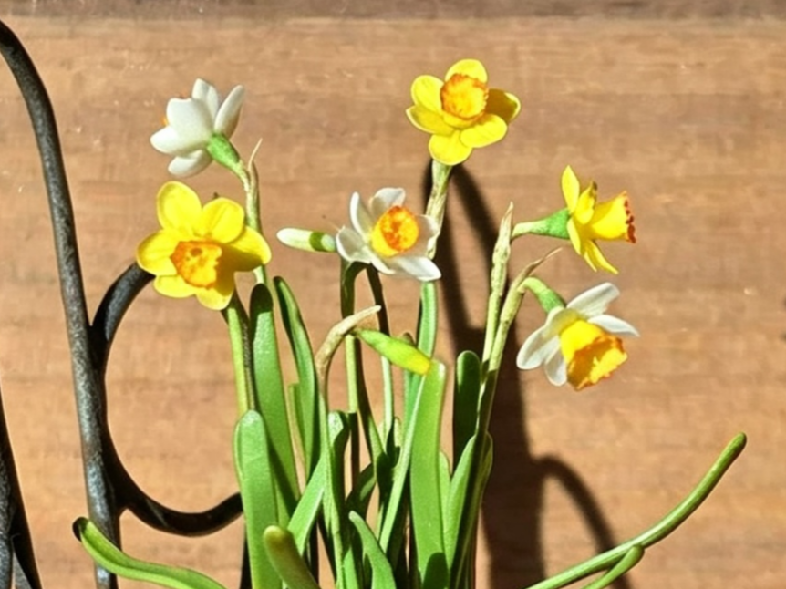 B3 Spring Daffodils