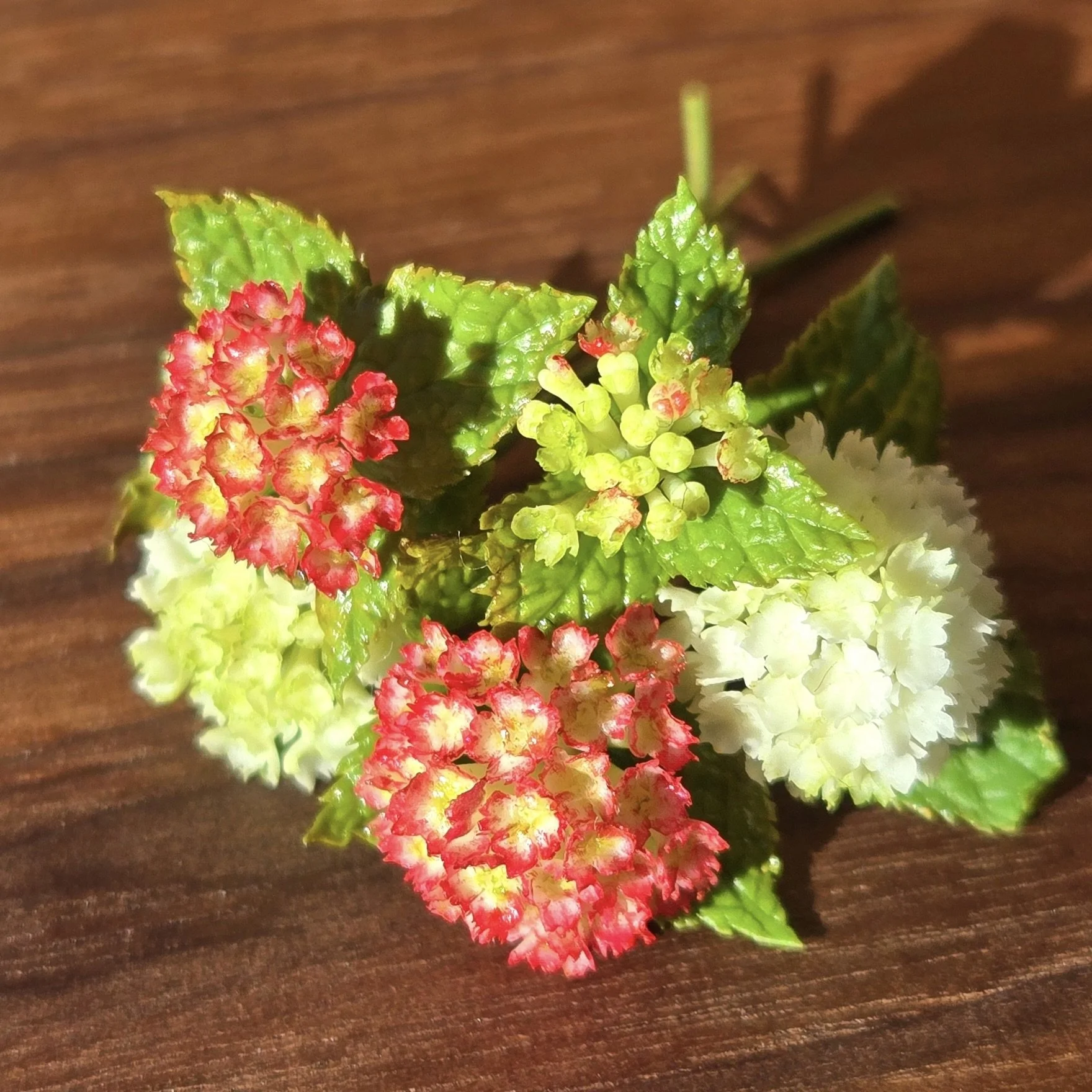 A3 Hydrangeas in a Vase