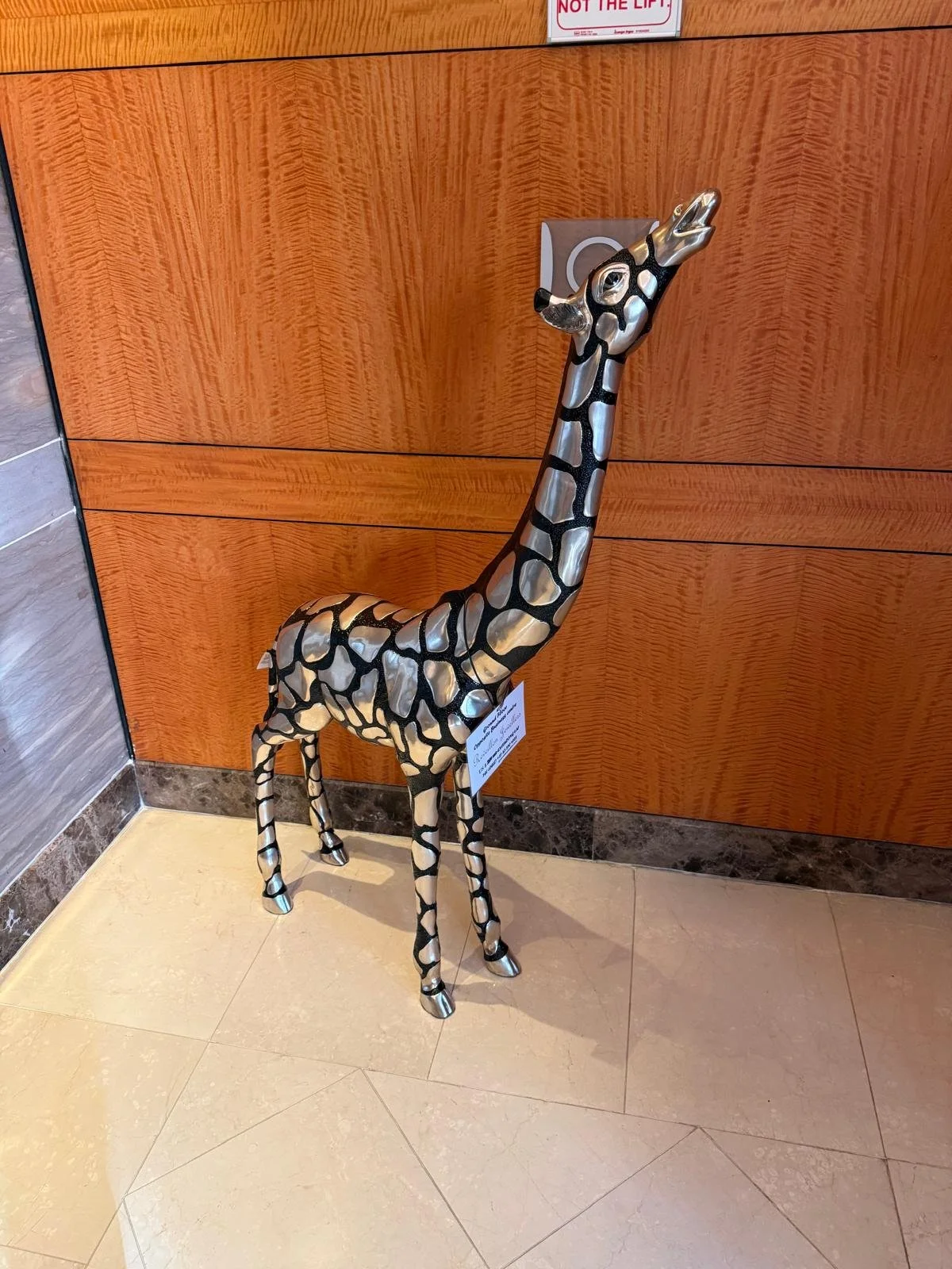 giraffe.jpeg