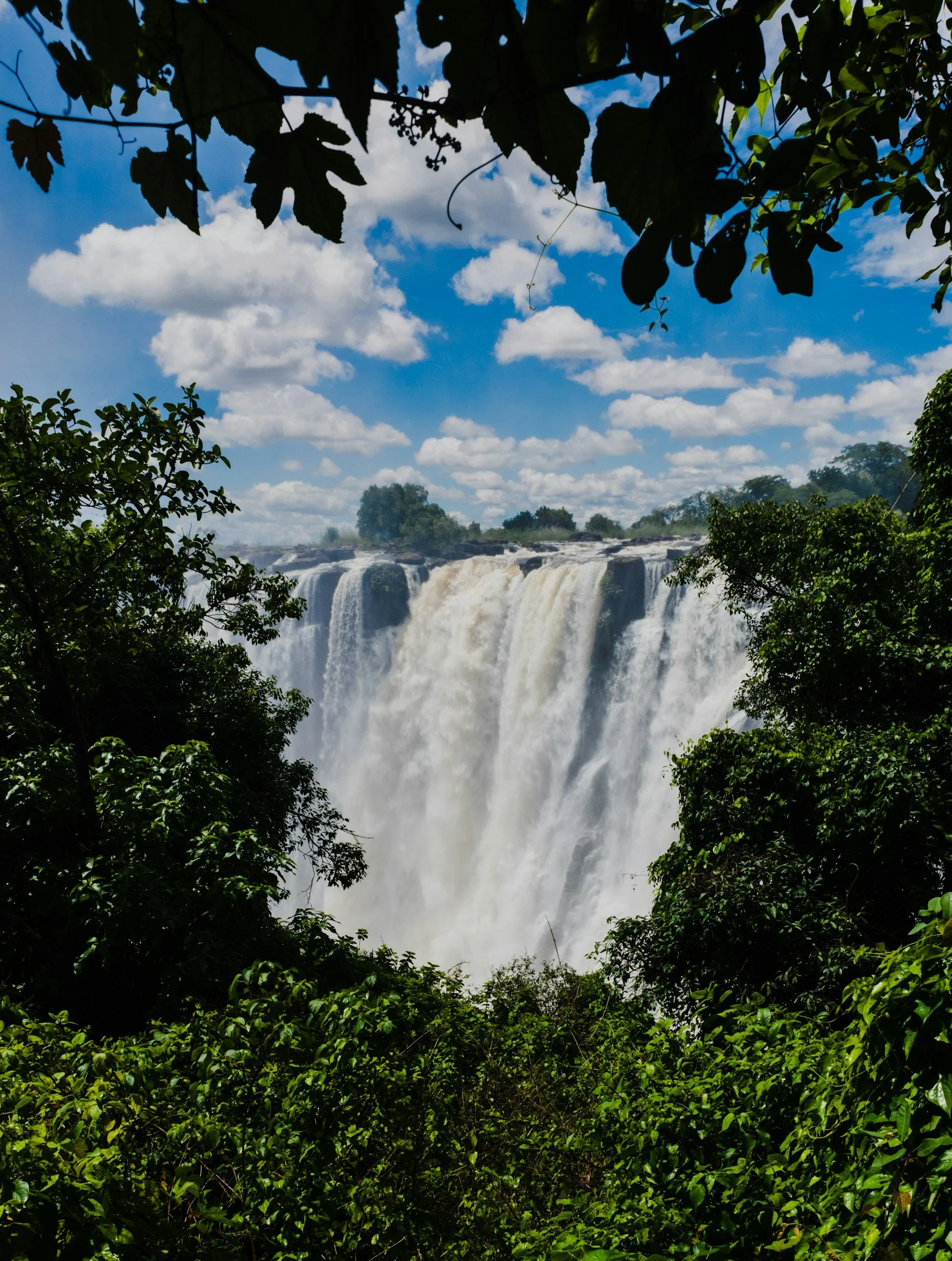 unsplash-image-afGA-TbGNbA.jpg