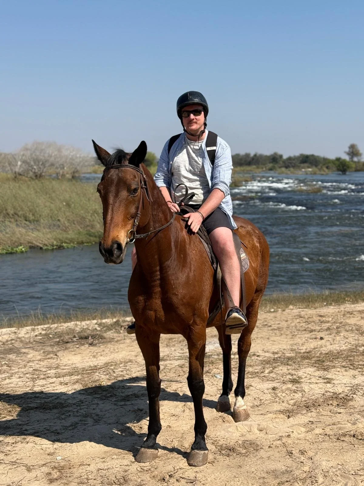 Horse.jpeg