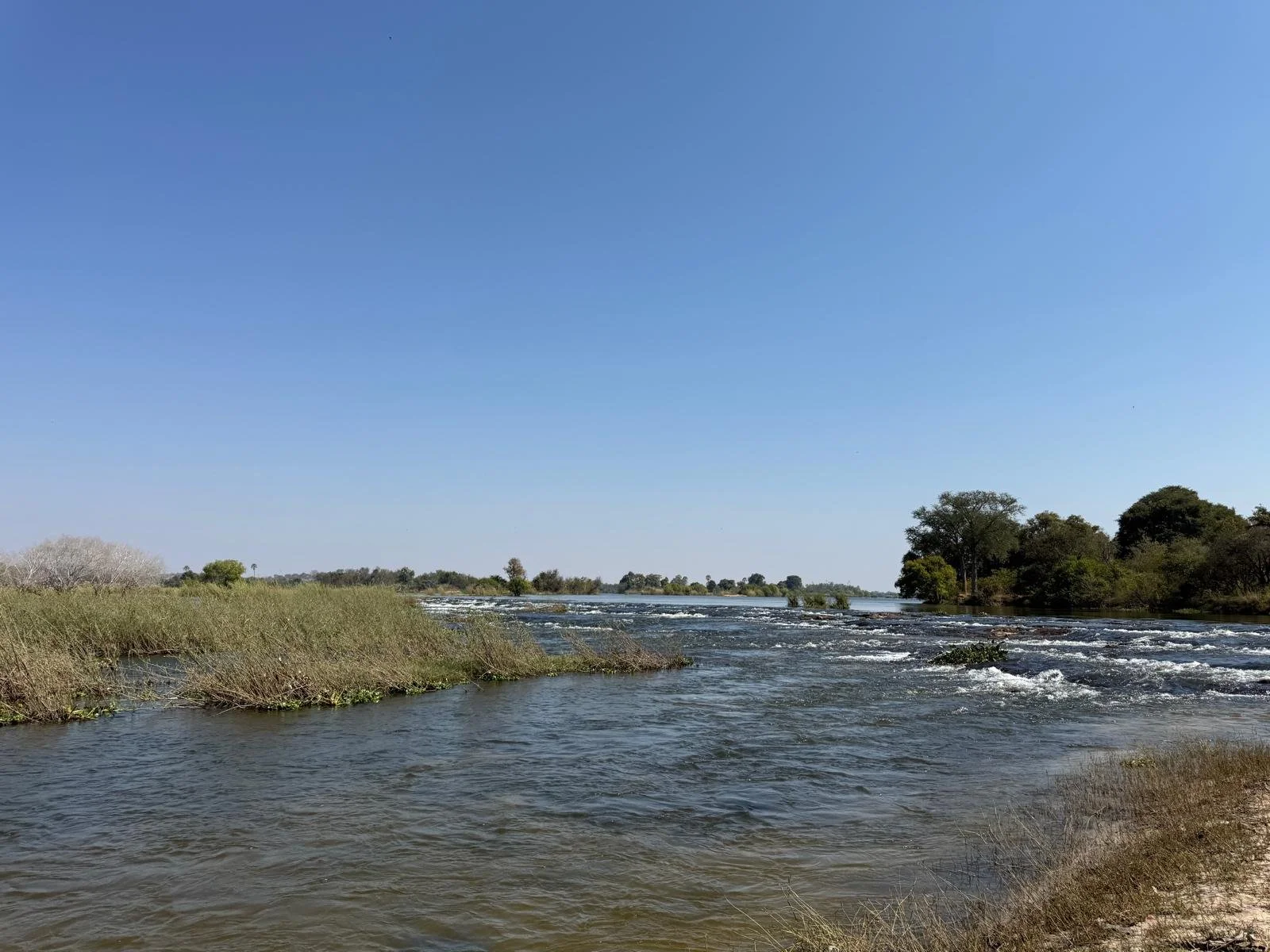 Zambezi1.jpeg