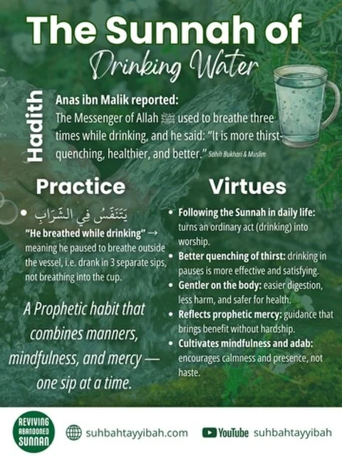 🌿 Reviving Abandoned Sunnan 🌿
This week, we&rsquo;re reviving a simple Sunnah &mdash; an act you already do every day, but with intention it becomes reward🤍
The Prophet ﷺ taught us to drink in pauses, a habit filled with wisdom, adab, and mercy fo