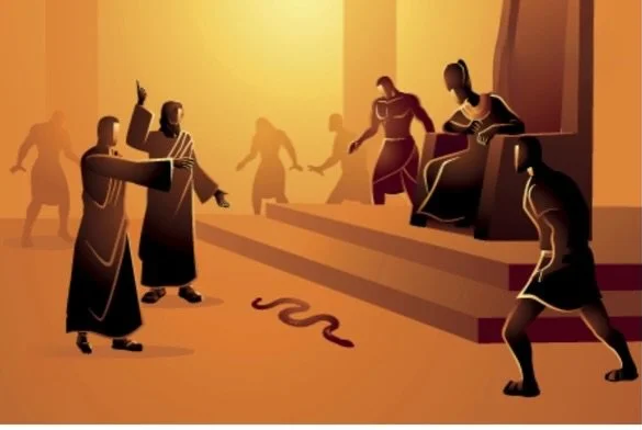 The Prophet ﷺ warned us clearly:
Whoever helps an oppressor use lies to hide the truth distances himself from the protection of Allah and His Messenger (Hadith Abdullah Ibn Abbas (RA), transmitted by Imam Ibn Hibban).
This is a serious warning!!
Do n