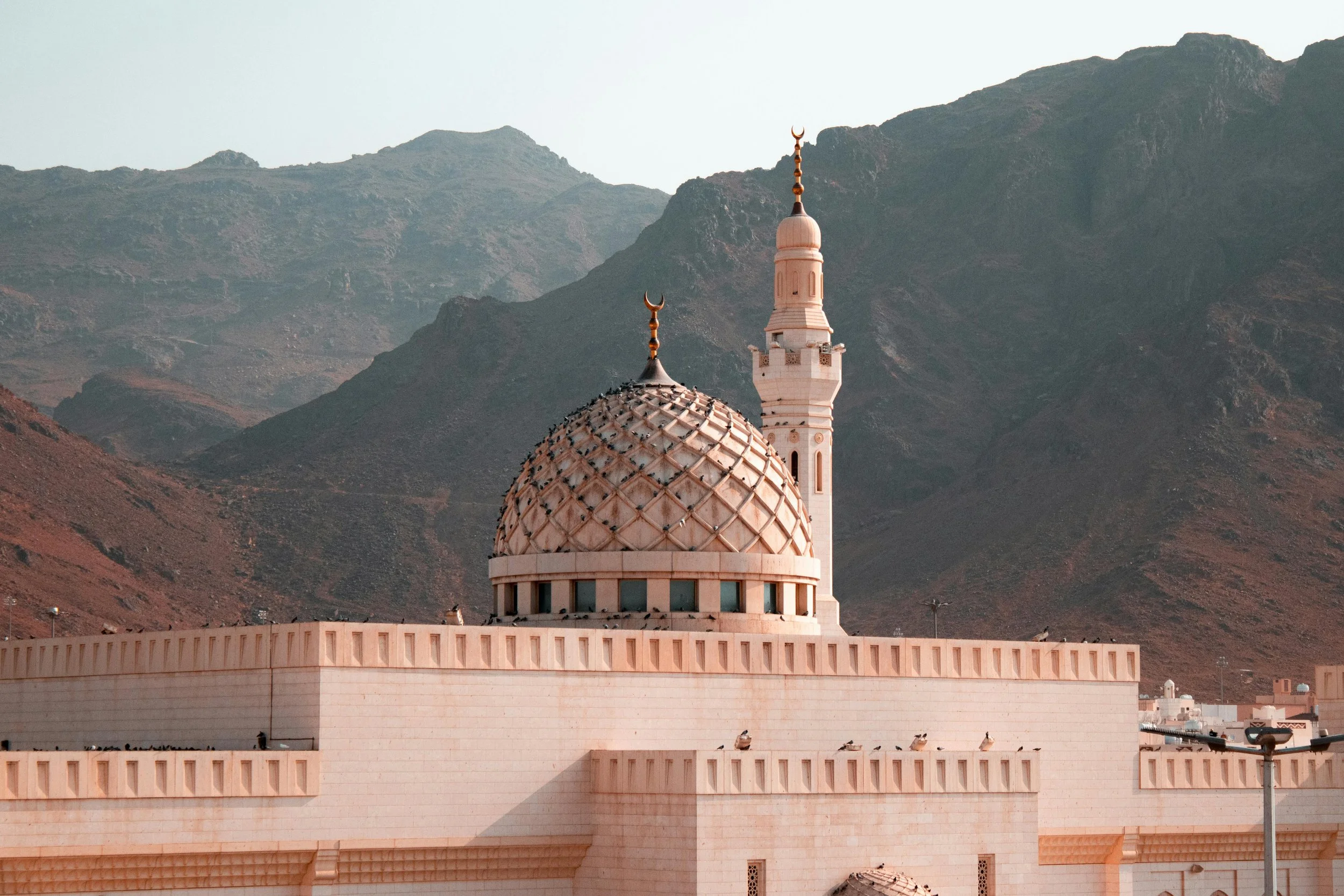 The Heart’s Journey to Arafah: A  Reflection on Longing, Divine Meaning, and Universal Mercy