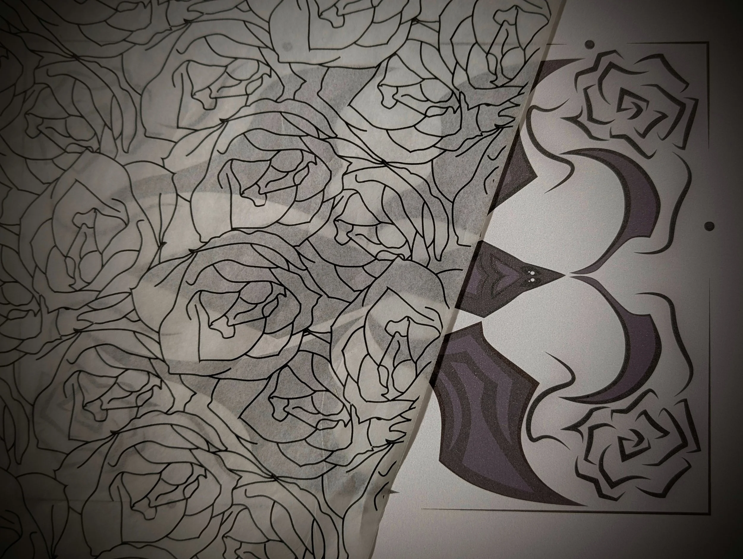 Botanical Moth 8.5X11