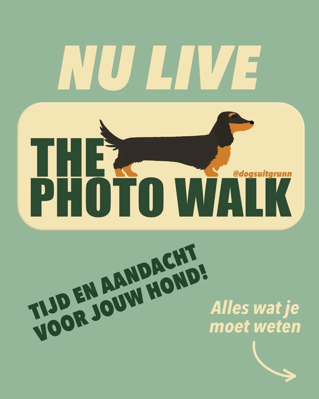 THE PHOTO WALK 📸🦮

The Photo Walk duurt 60 minuten. Tijdens een ontspannen wandeling fotograferen we onderweg, waardoor natuurlijke momenten ontstaan en verschillende achtergronden samenkomen in een natuurlijke serie foto&rsquo;s. 

De locatie bepa