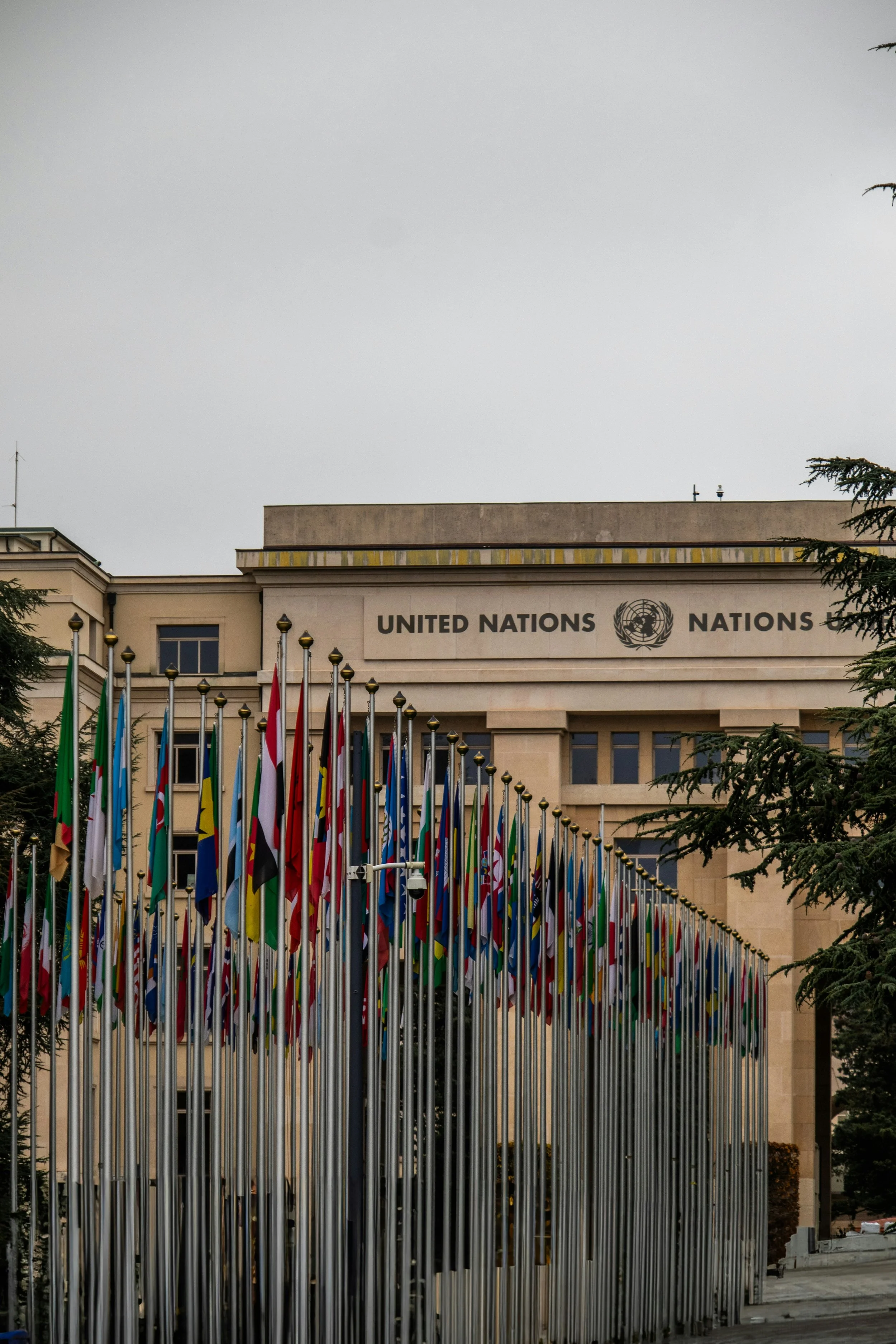 United Nations building with multiple national flags in front under a cloudy sky.