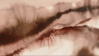Abstract image with brown and black ink or watercolor streaks on paper.