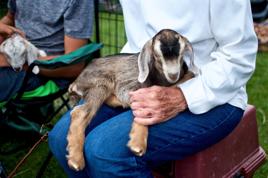 4th of July Celebration in Twisp, WA for The Methow Valley News, 2016.