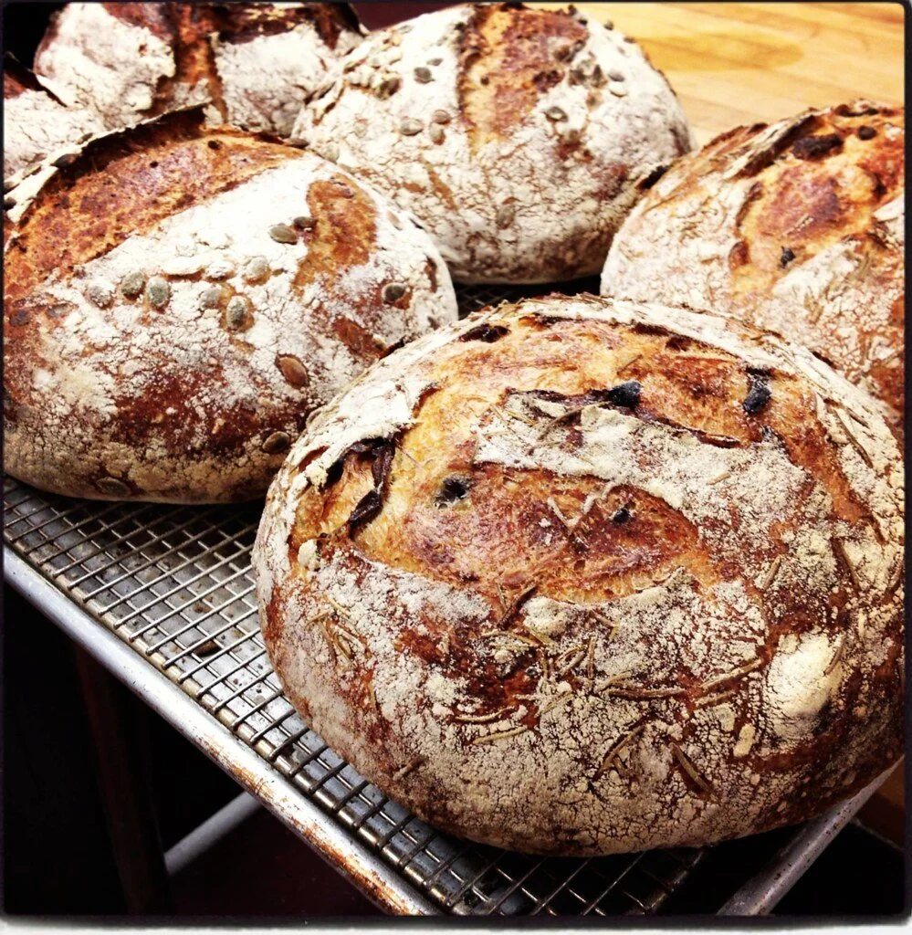 Rosemary Olive & Rustic Loaves
