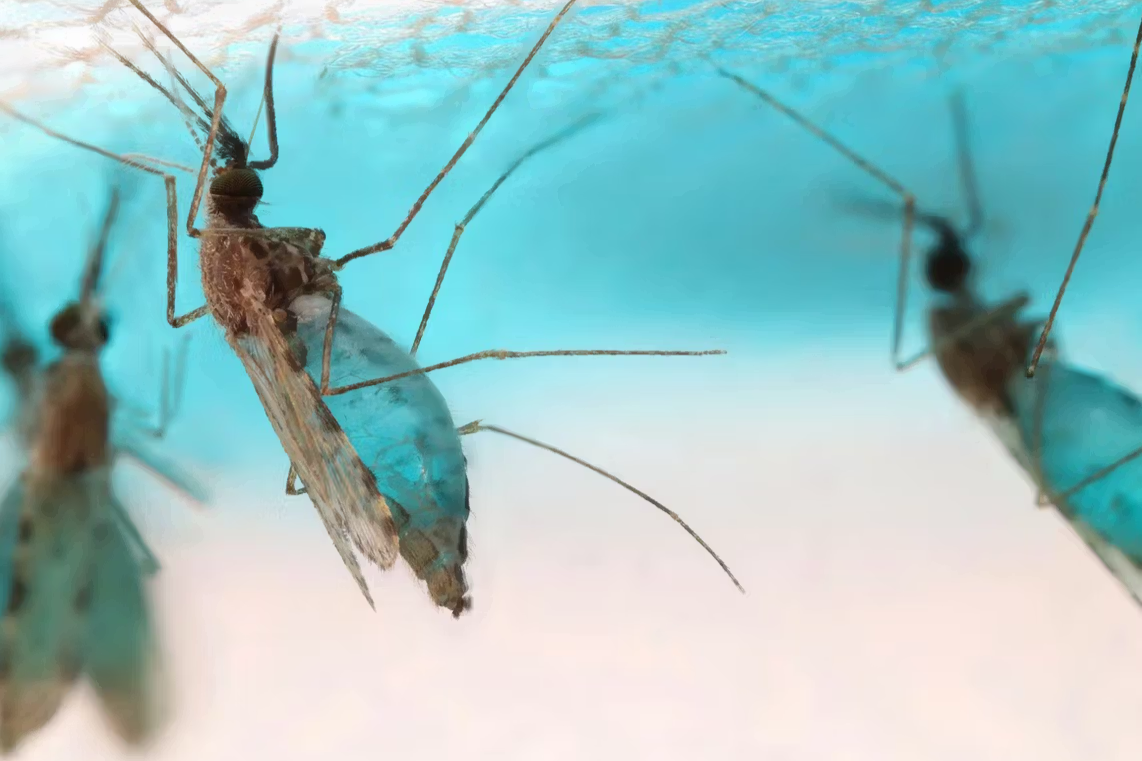 Our First Investment: Molecular Attraction