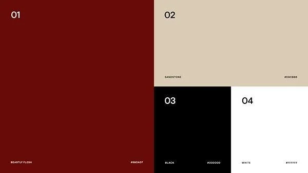 Color palette with five rectangular color swatches labeled 01 to 04, showing shades of red, beige, black, and white.