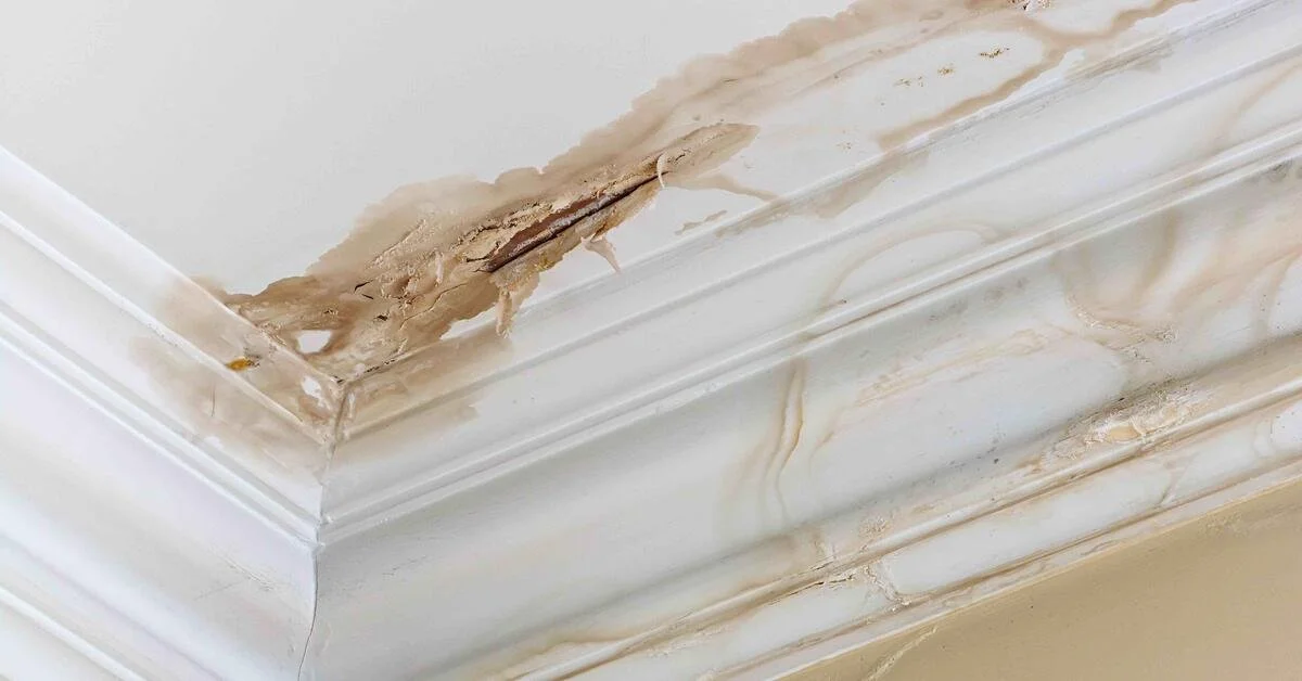Close-up of a damaged ceiling corner with water stains and peeling paint, indicating water damage or leak.