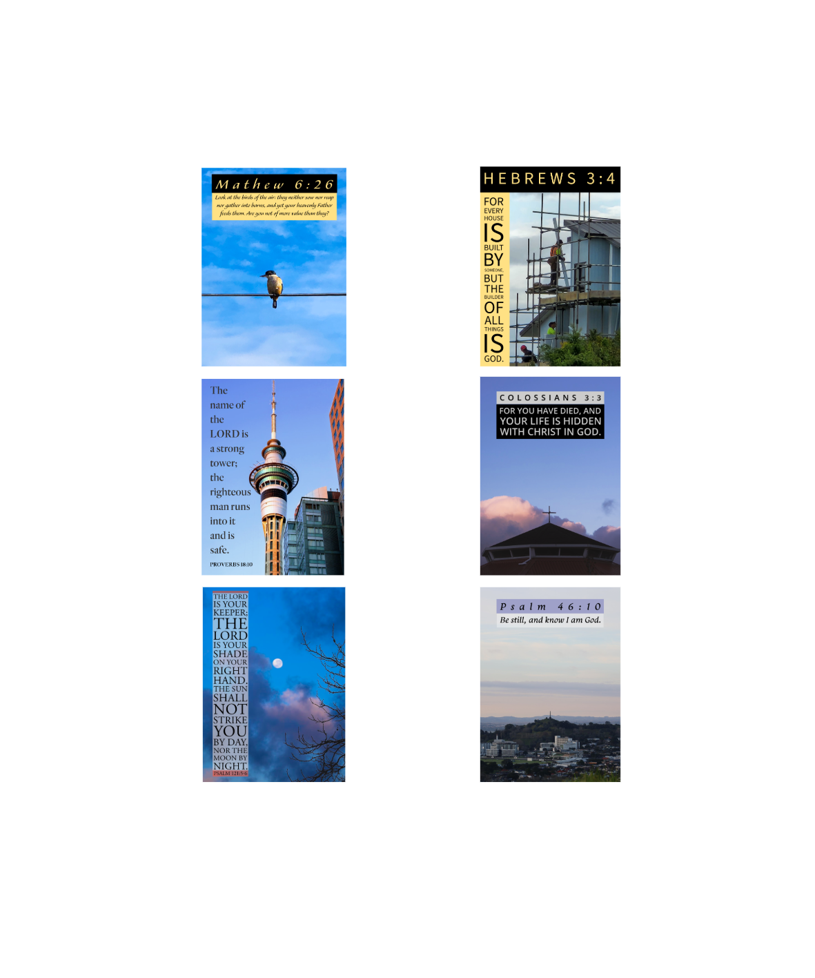 Squarespace Card selection 2-1.png