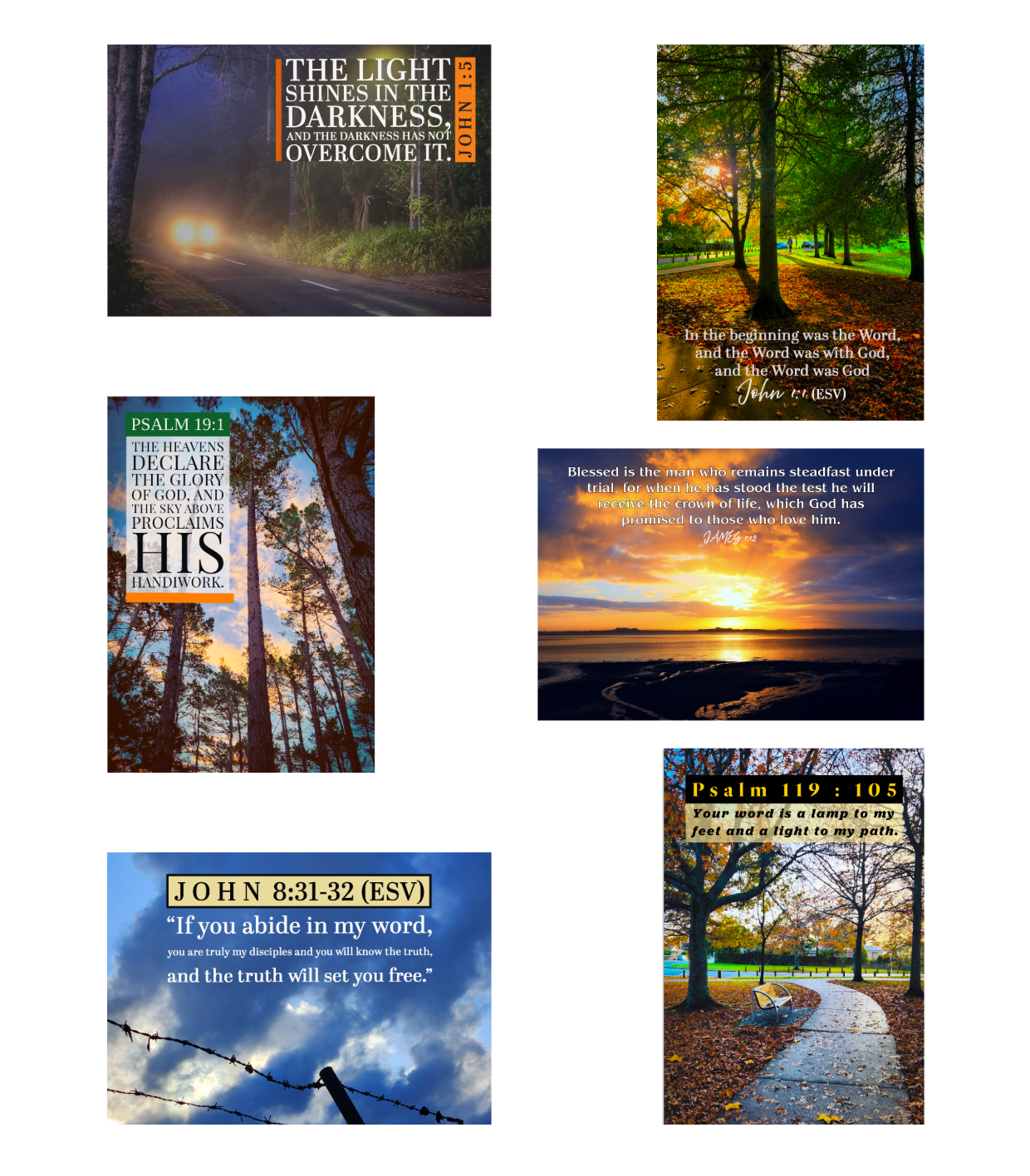 Squarespace Card selection- 1 Jan 2025 at 12-1.57.15.png