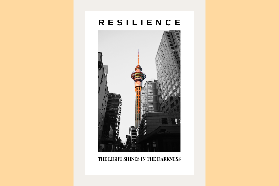 Products Resilience.png