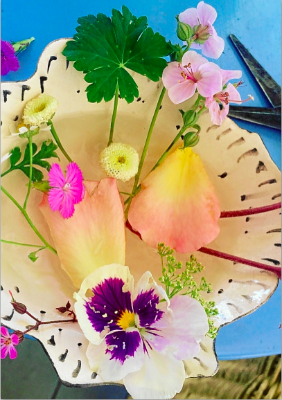 Screen Shot 2019-07-12 at 1.19.43 PM.png