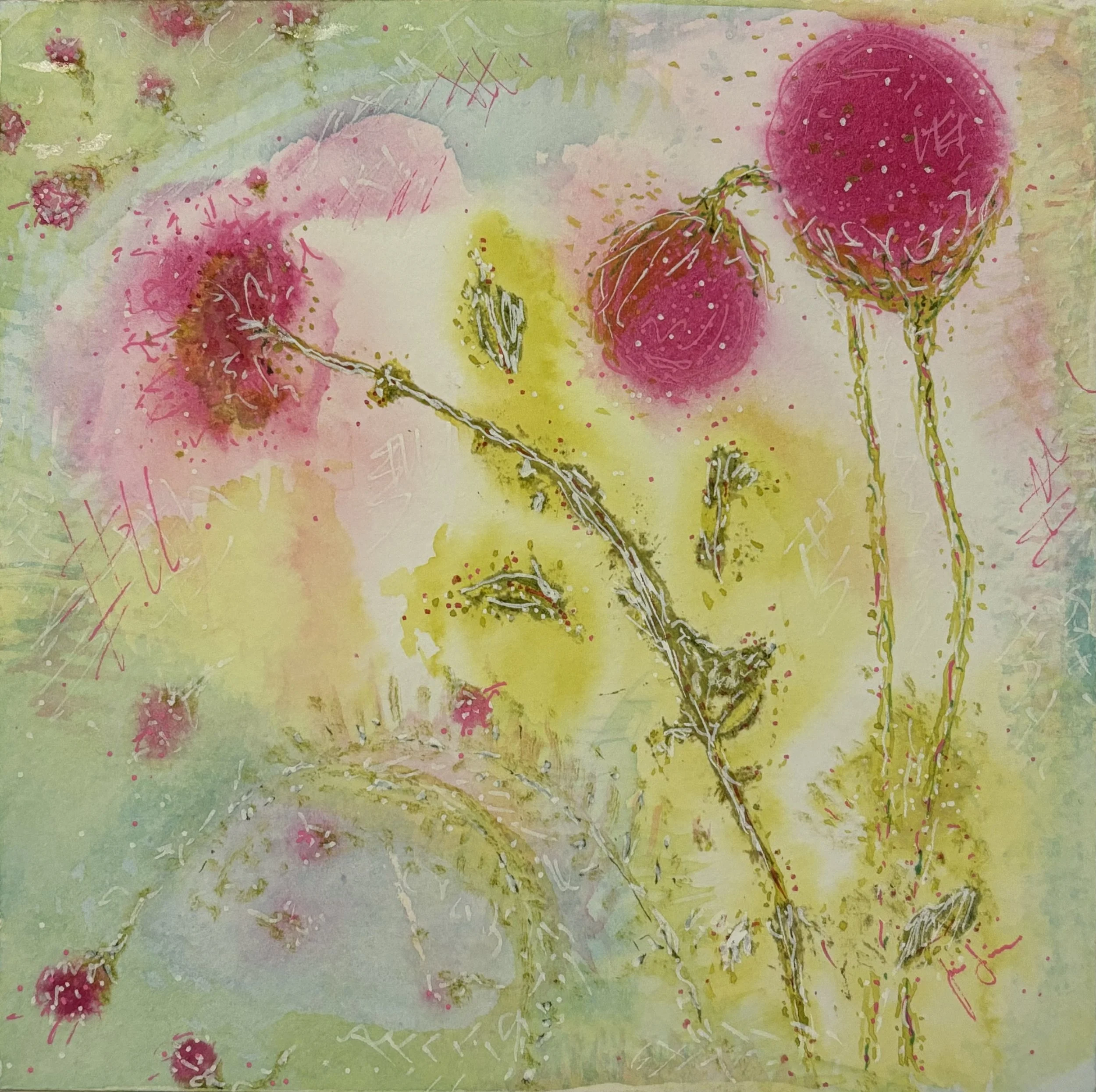 the poppies have reseeded