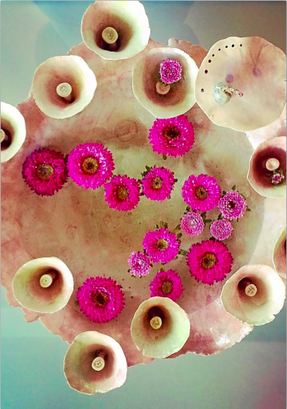 Screen Shot 2019-07-12 at 1.15.26 PM.png