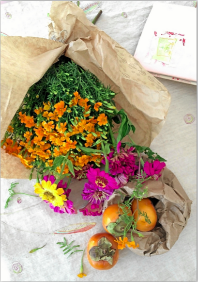 Screen Shot 2019-07-12 at 1.16.16 PM.png