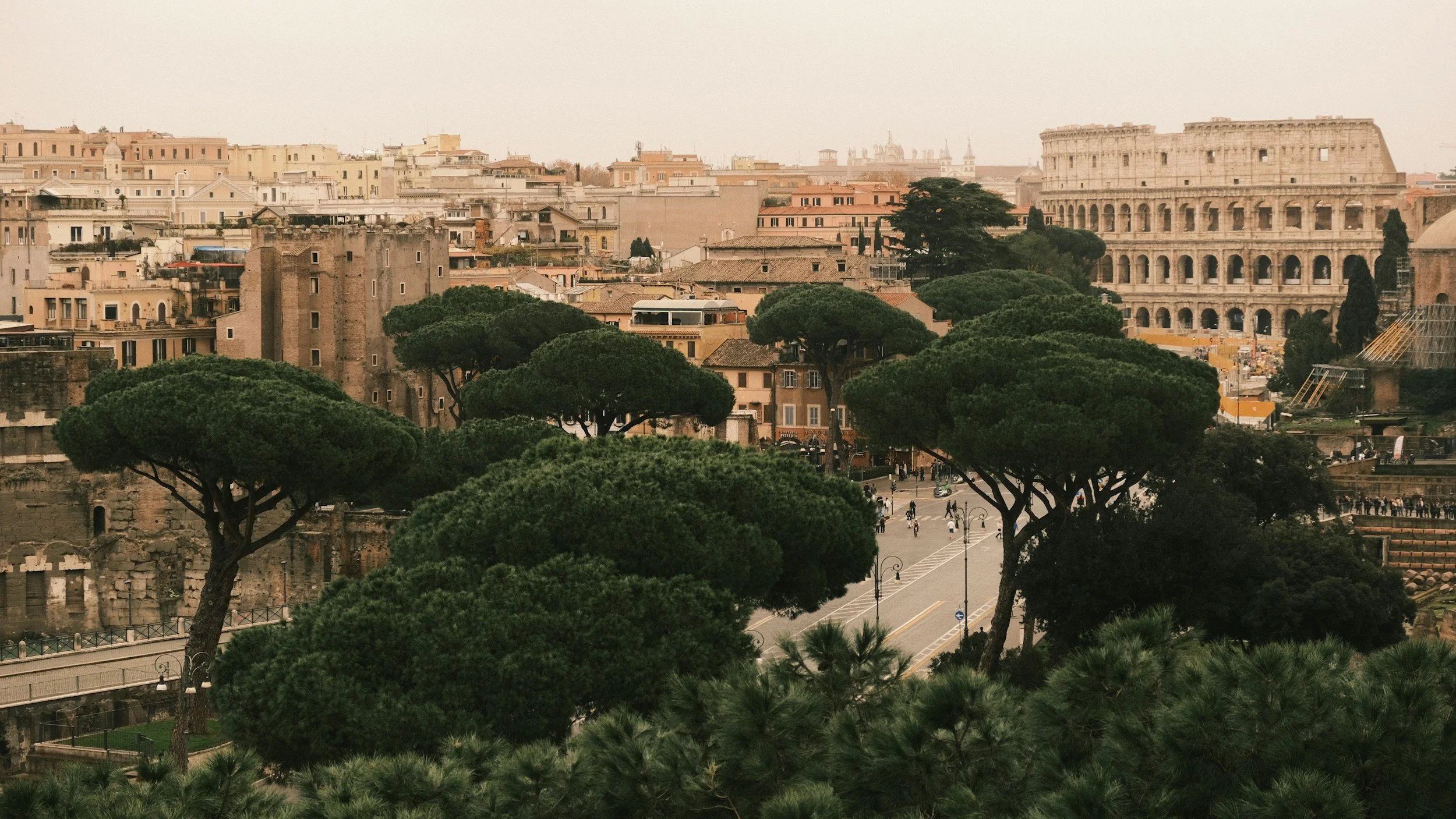 Vista panoramica di Roma con alberi di pino, rovine antiche e il Colosseo sullo sfondo, durante una giornata nuvolosa