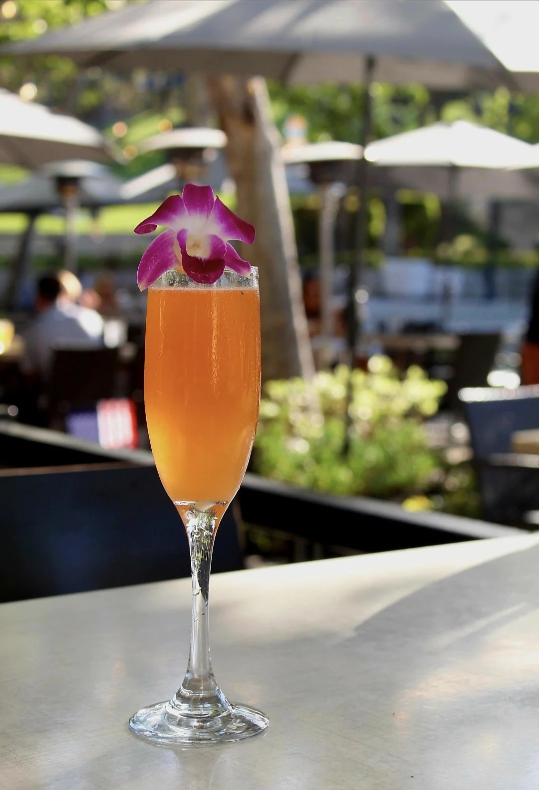 Sunblossom Spritz: Crafted with smooth vanilla vodka, bright Aperol, lush pineapple juice, zesty lemon juice, a touch of orange blossom water, and made bubbly with effervescent champagne.
