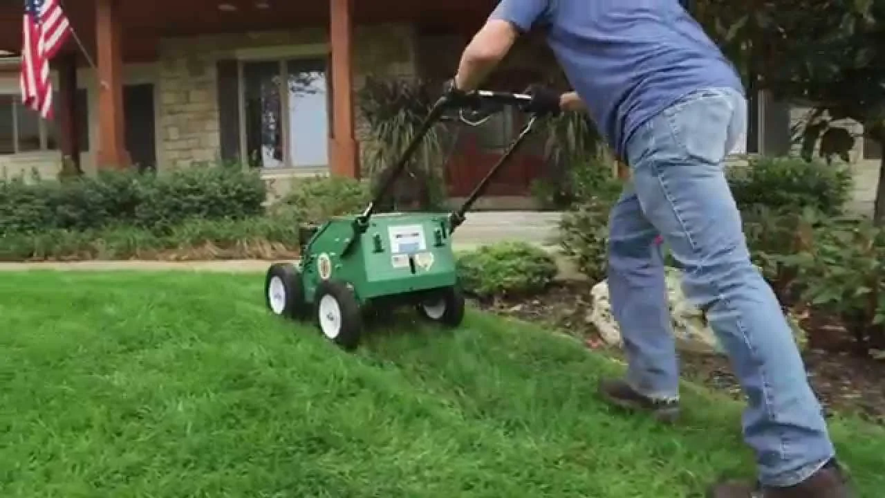 Basic Aeration Service