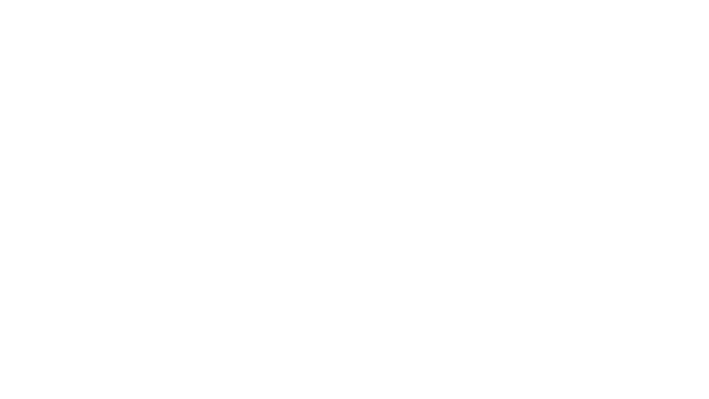 CONCIERGE INC