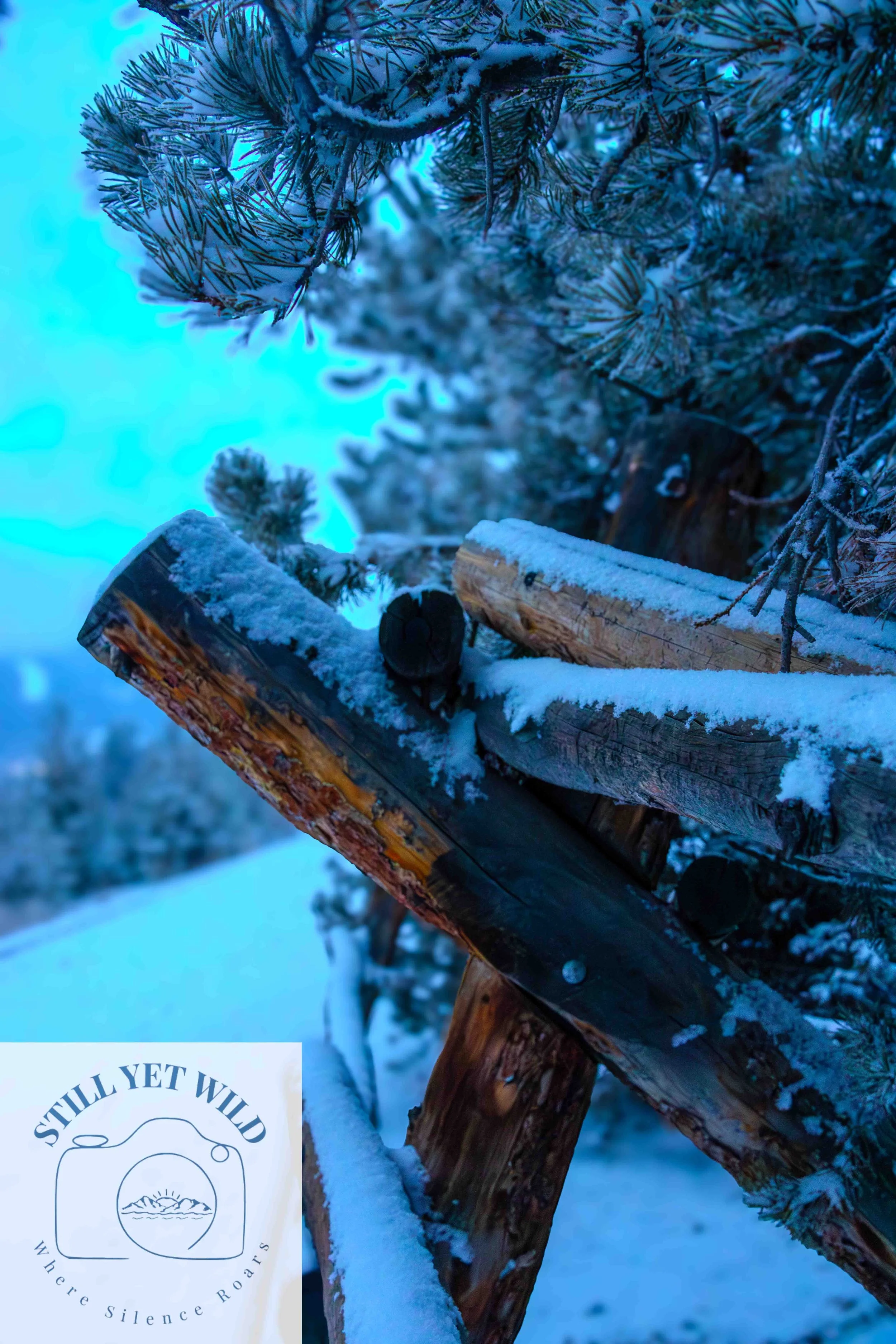 Where Wood Meets Winter