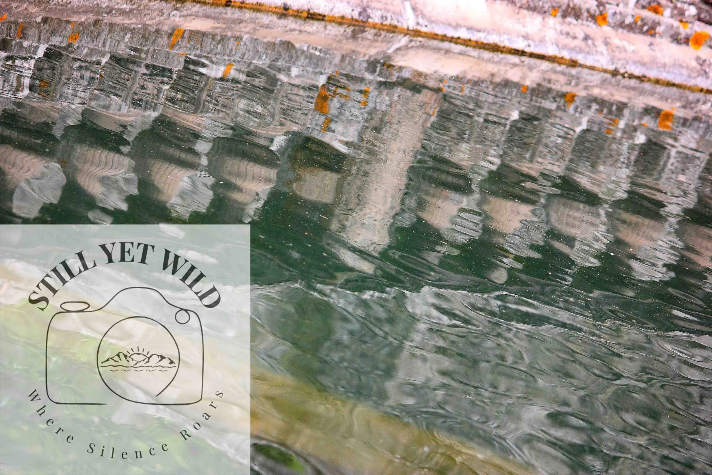 Whispered Reflection