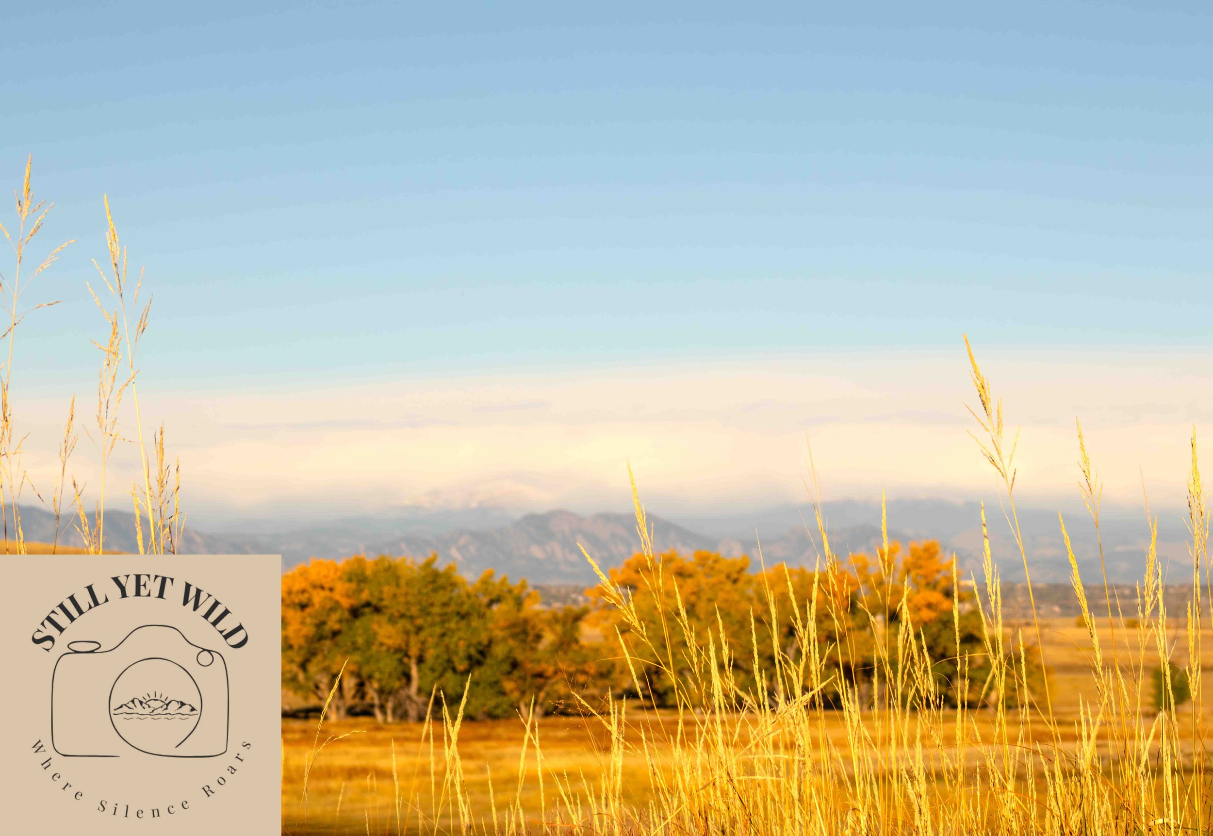 Where the Plains Meet the Peaks