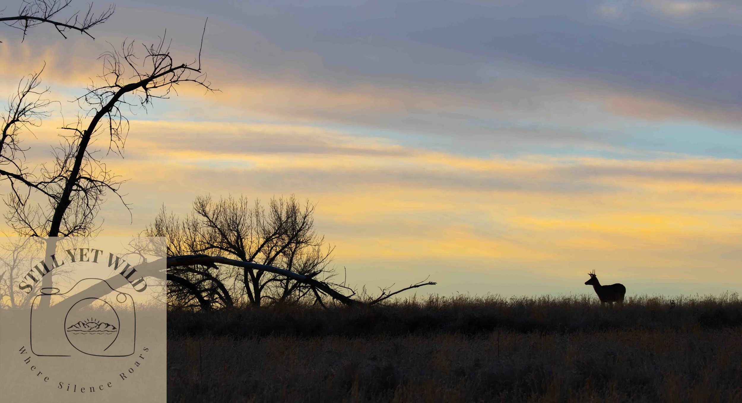 Before the Day Breaks