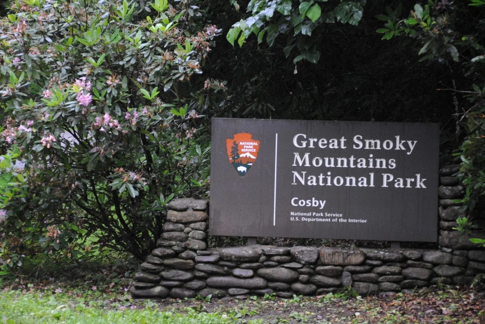 Sign for Great Smoky Mountains National Park in Cosby, with the park's logo and surrounded by green foliage and flowering bushes.