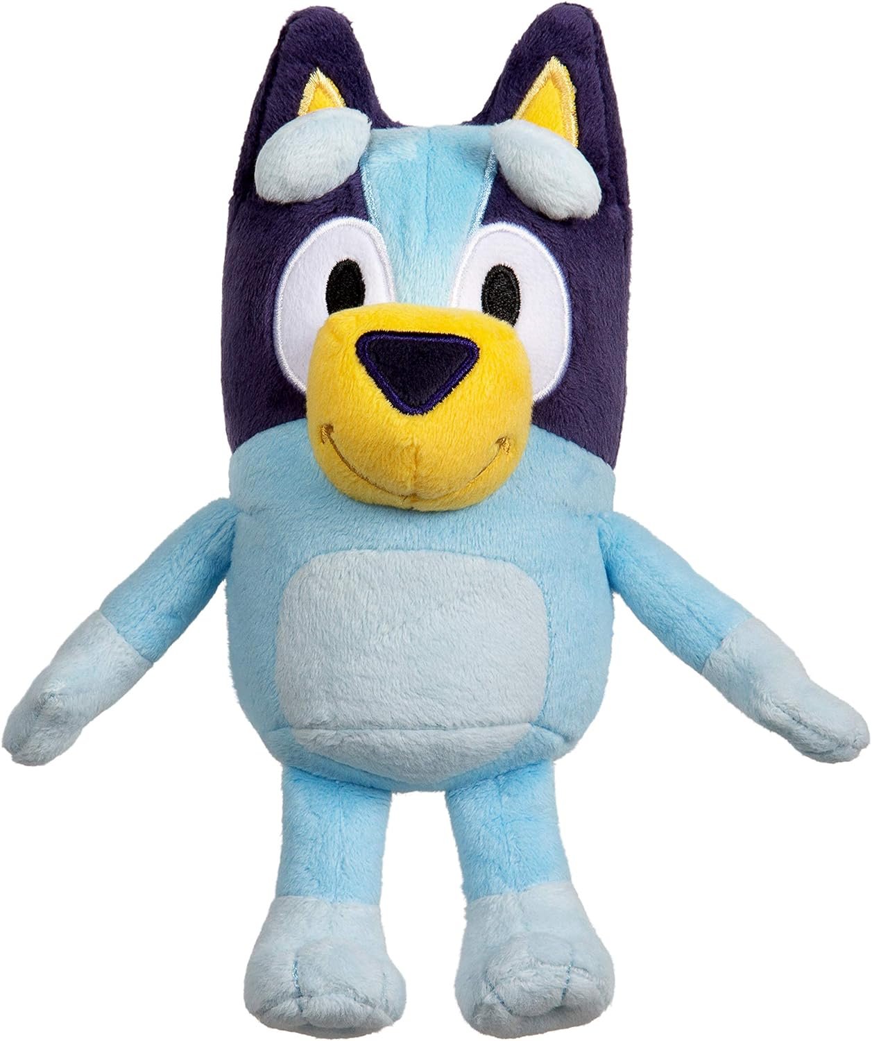 Bluey 4.jpeg