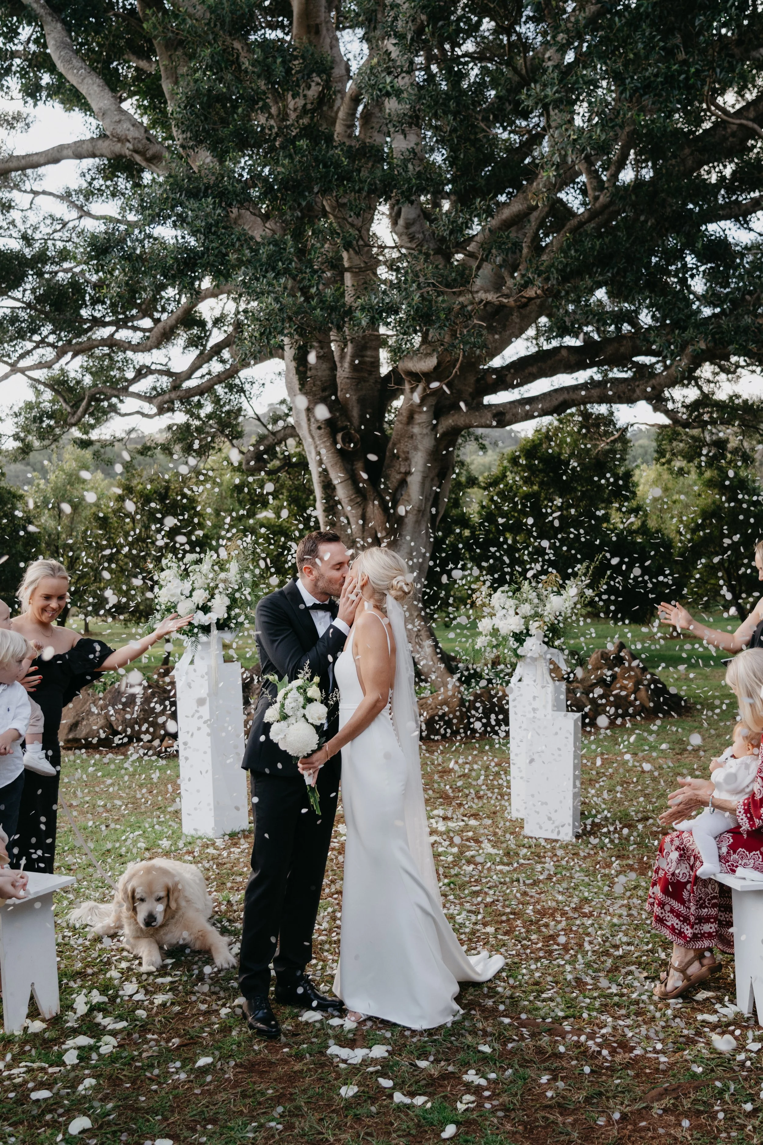 Couple kissing during their wedding ceremony with their marriage celebrant, surrounded by friends and family, with confetti and flowers, under a large tree.