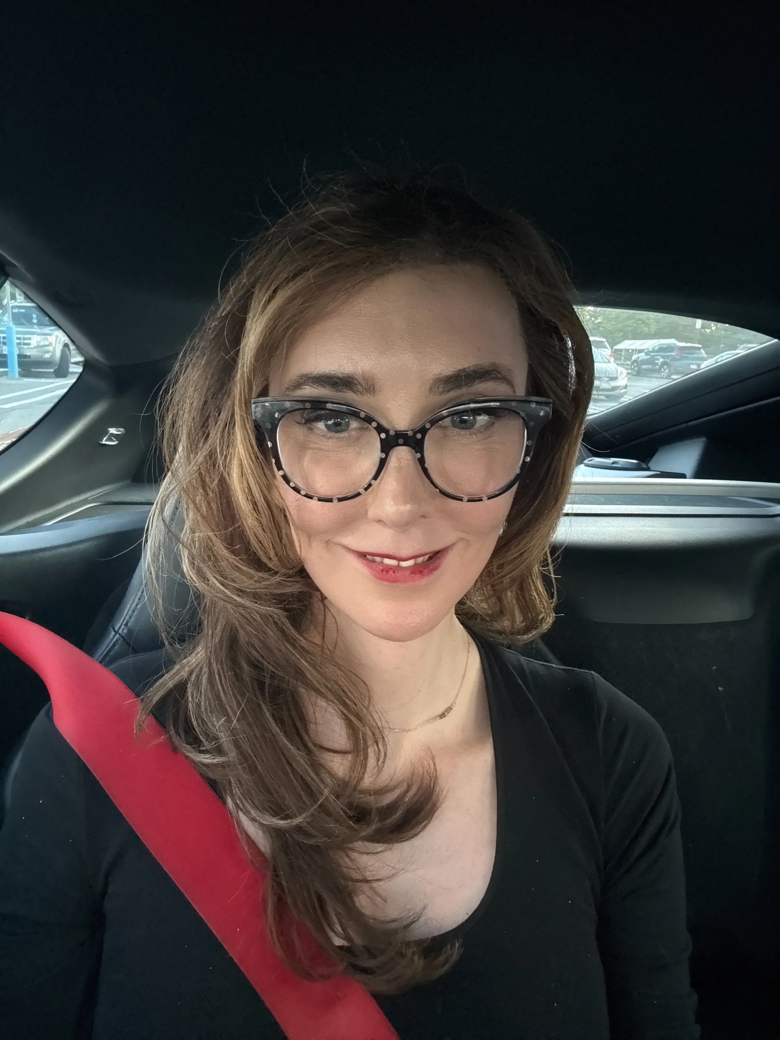 Photo by Brianna Wu. Licensed under CC BY 4.0