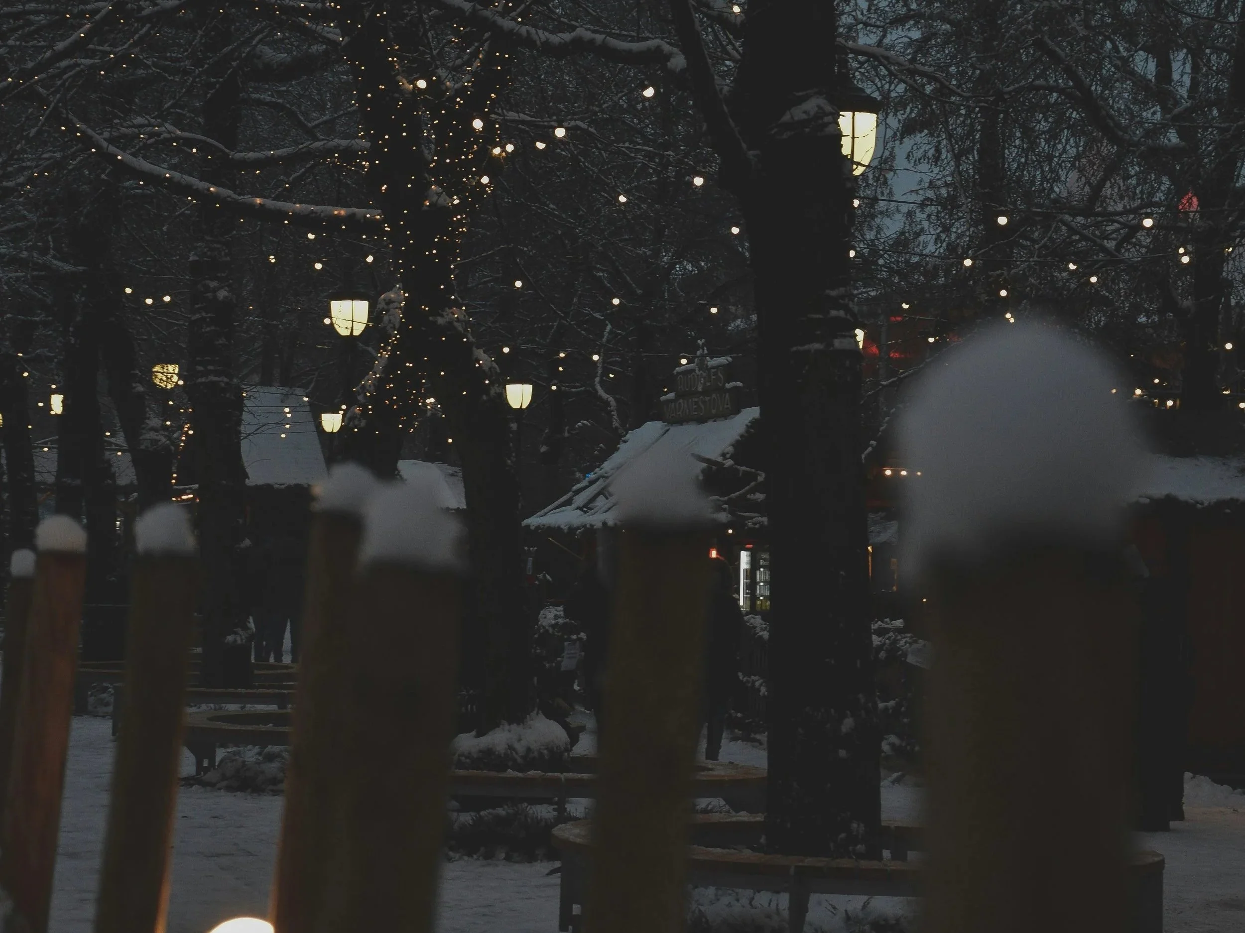 A snowy scene in a park at night, with string lights hanging among snow-covered trees and lantern-style street lights illuminating the area. There are snow-covered fences, benches, and structures, creating a festive winter atmosphere.
