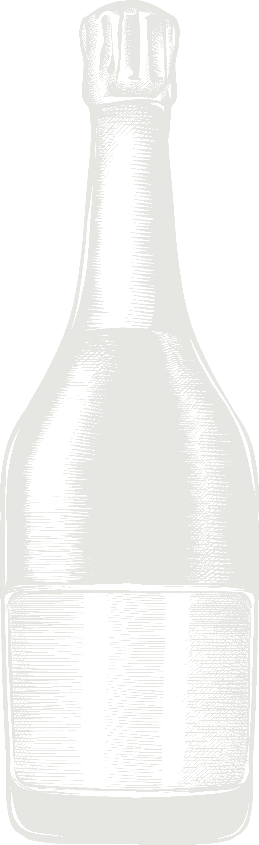 Black and white illustration of a champagne bottle viewed from the front.