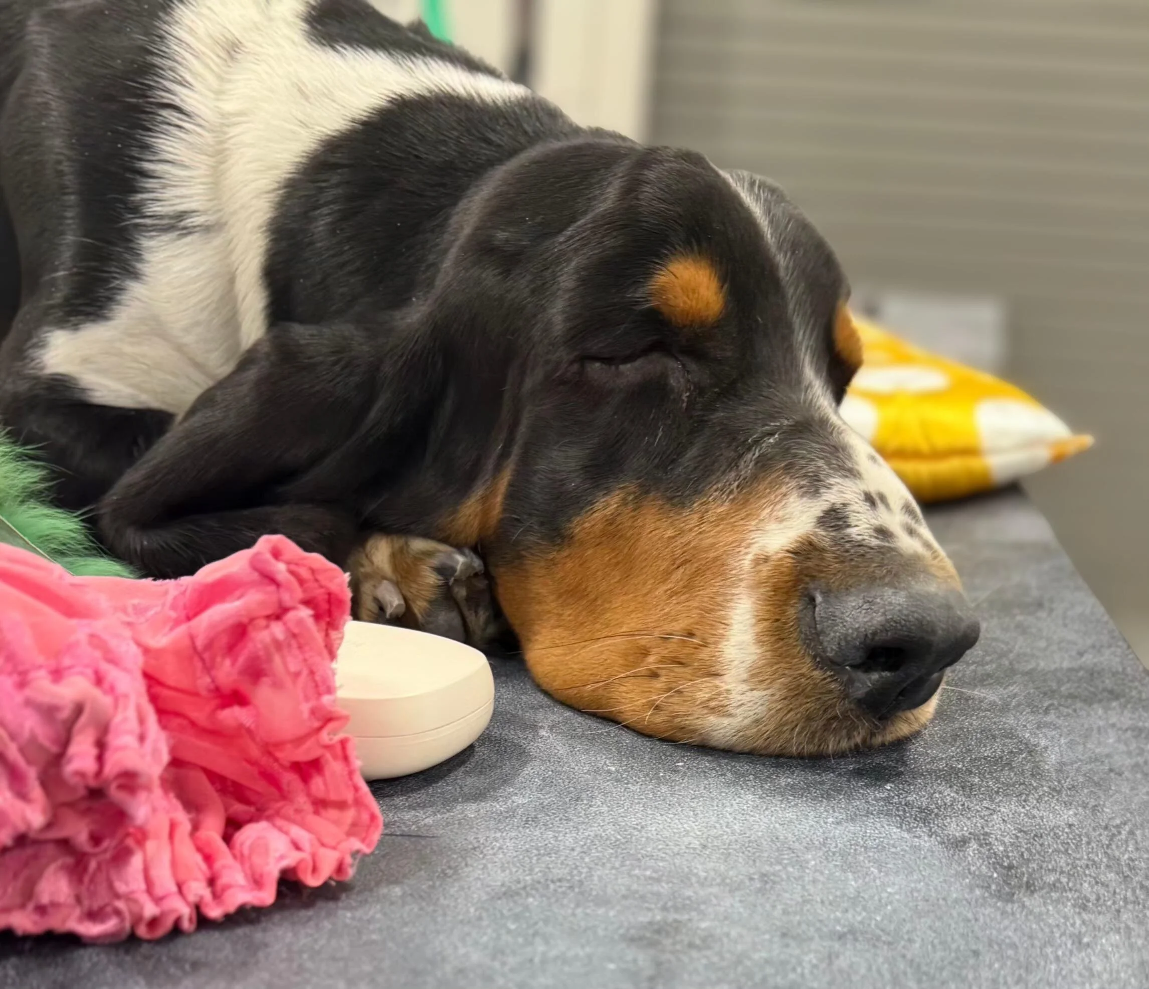 shared image (2).jpg