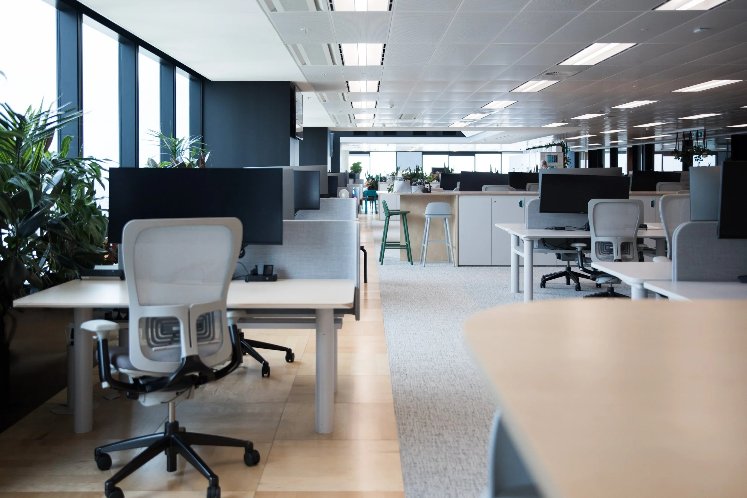 Empty modern office with white desks, chairs, computer monitors, and green plants near large windows.