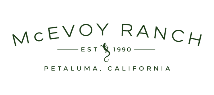 Saffron McEvoy Logo.png