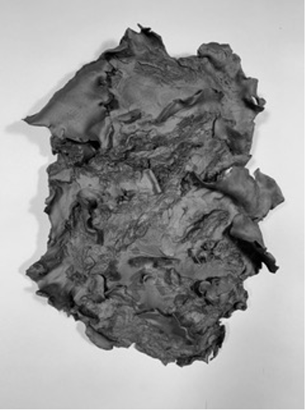 Kathy Pallie_KP2413.png