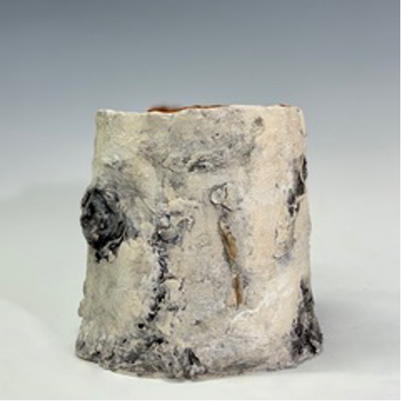 Kathy Pallie_KP2411.png