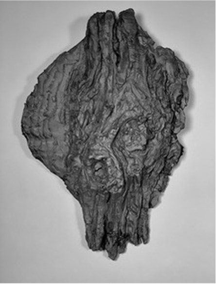 Ebony Landscape.png-1.png