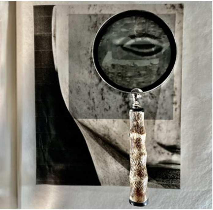 Magnifying Glass.png-2.png