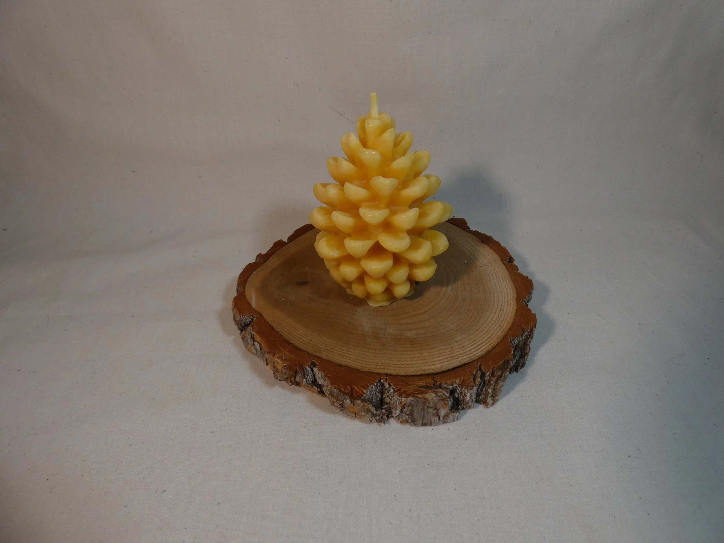 Pinecone