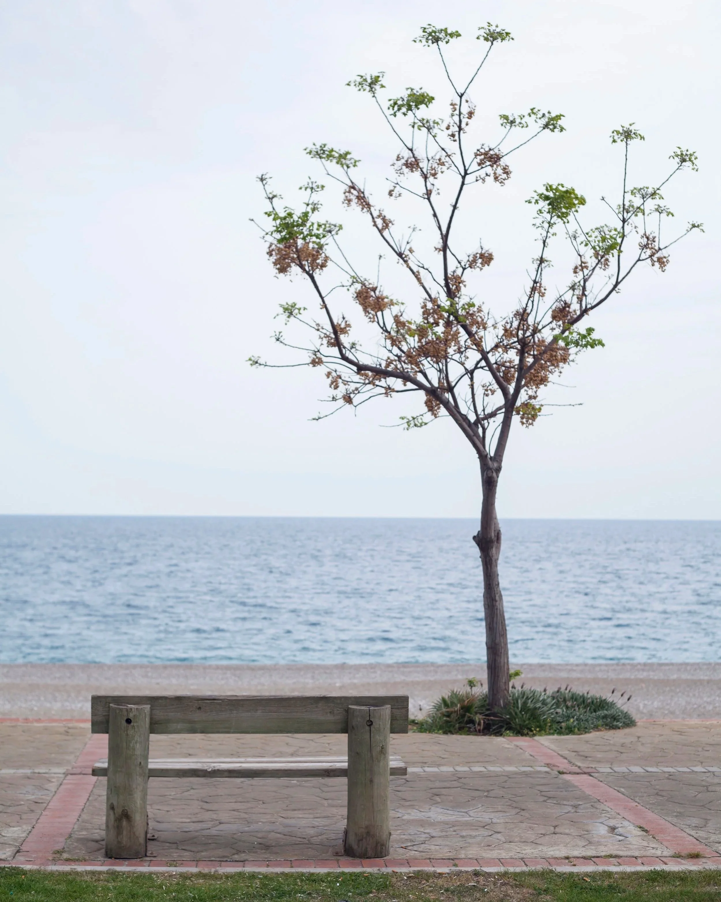 Finding Your Rhythm Again: Calm in the Middle of the Week