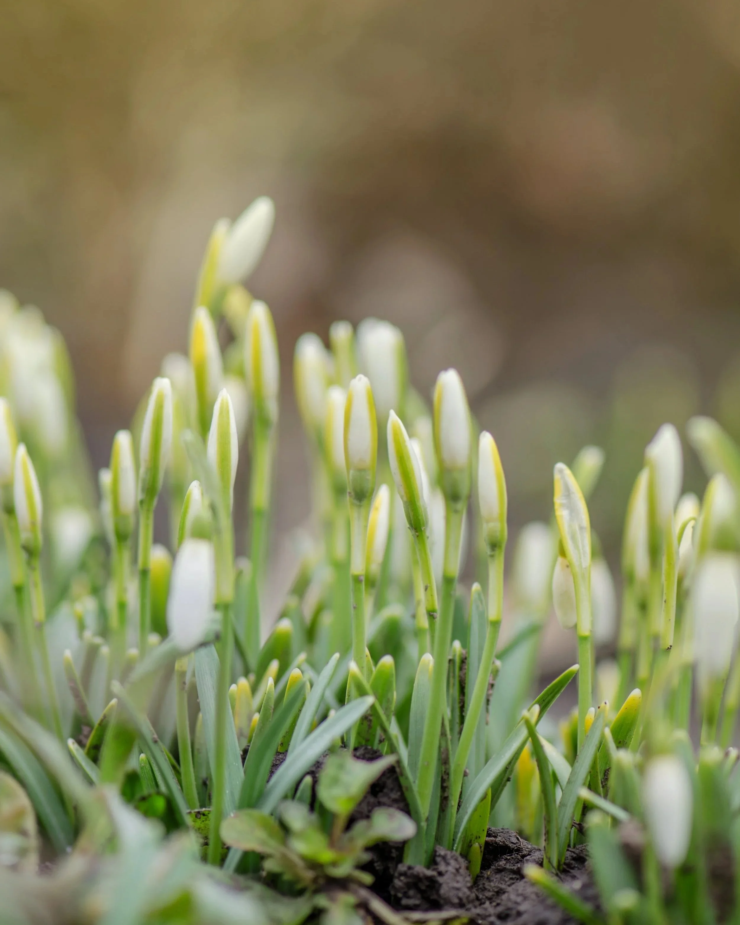 Before the Visible Shift