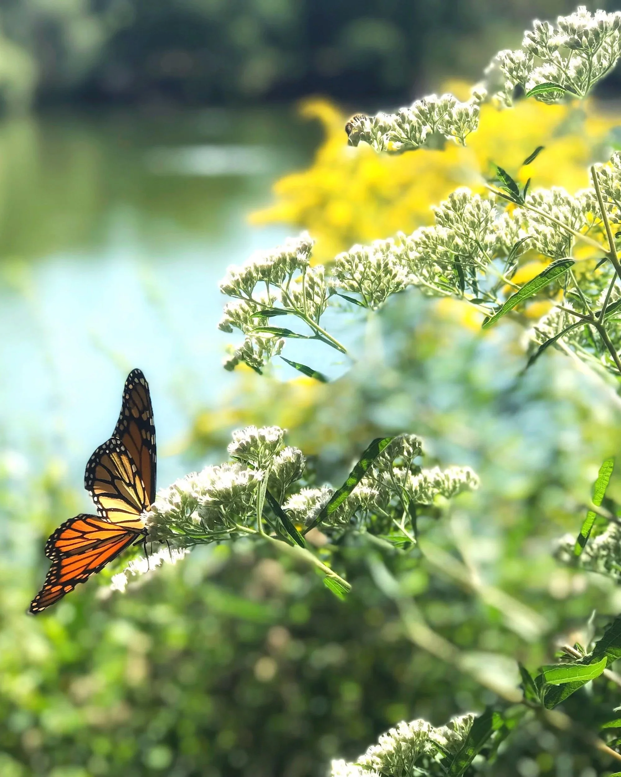 A Seasonal Shift: Recalibrating Rhythm